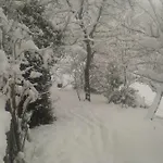 Zenarcs